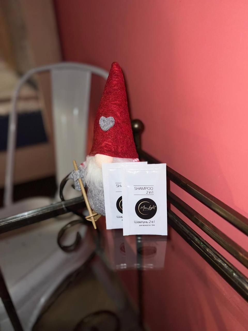 Moonlight Hostel リヴィウ エクステリア 写真